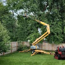 Best Emergency Tree Removal  in Haynesville, LA